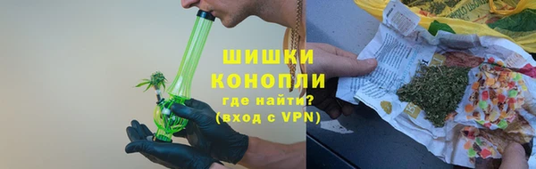 индика Балабаново