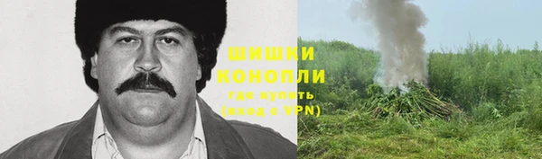 индика Балабаново