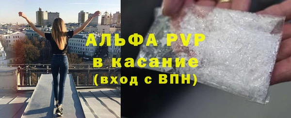 индика Балабаново